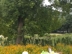 -长广溪湿地公园