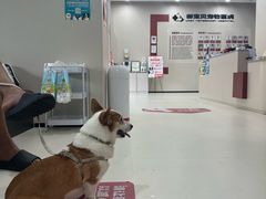 -御宝贝24h宠物医院·转诊中心·CT核磁血透中心(厦门总院)