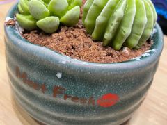 -鲜芋仙(宝地广场店)