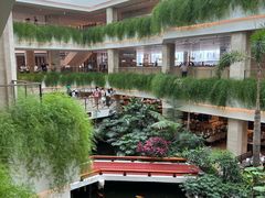 -广州白天鹅宾馆