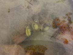-N多寿司(同曦假日百货店)