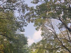 -白塘生态植物园