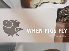 -WHEN PIGS FLY当猪飞