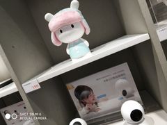-小米之家(东方宝泰购物中心店)