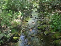 -洛阳白云山景区