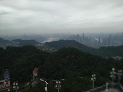 -大金鹰园