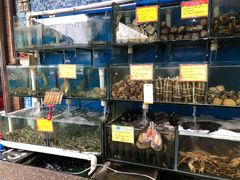 水产区-蚝专家(北滘店)
