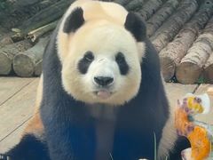 -大连森林动物园