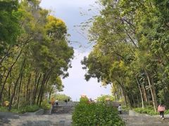 -深圳国际园林花卉博览园