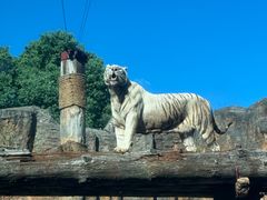 -杭州野生动物世界