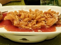 松鼠鱼-大鸭梨烤鸭(左家庄店)