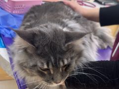 -美联众合动物医院·24h京西诊疗中心