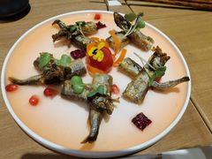 -初花·日本料理