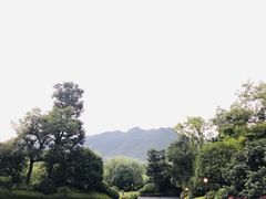 -浙江安吉JW万豪酒店·万豪中餐厅