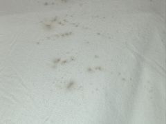 -北京北方佳苑饭店