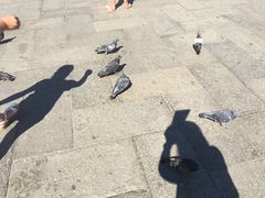 -圣马尔谷圣殿宗主教座堂