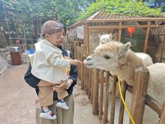 -杭州开元森泊度假乐园