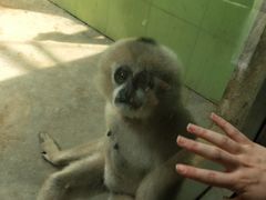 -石家庄市动物园