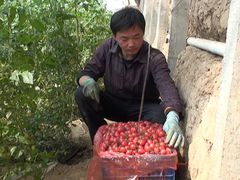 -胡家庙水果批发市场
