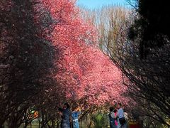 -洛阳市隋唐城遗址植物园