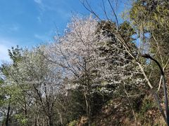 -虞山风景区