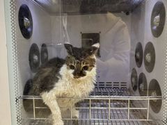 -宠颐生汉谟拉比宠物医院