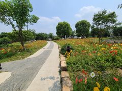 -鹅湖玫瑰文化园