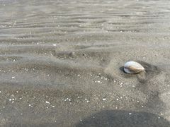 -启东黄金海滩景区