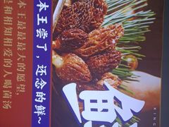 -木王宴语·野生鲜菌火锅(玉河店)