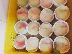 -老袁家蜜桃农场·阳山水蜜桃