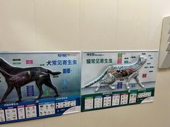 -瑞派康怡24h宠物医院·犬猫医疗中心·微创绝育(瑞景分院)