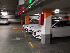 -丽池公园