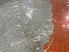 -南宫温泉水世界