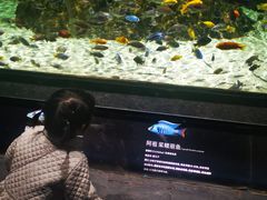 -江和美海洋公园