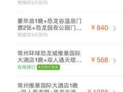 环球恐龙城维景国际大酒店-常州环球恐龙城维景国际大酒店