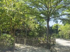 -荔景渔庄
