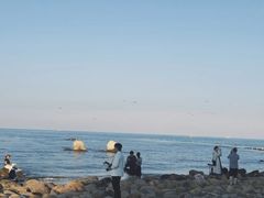 -北戴河碧螺塔海上酒吧公园