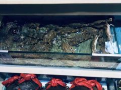 -宜宾海鲜酒家·三十年老字号