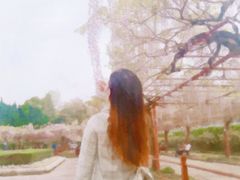 -嘉定紫藤园