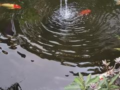 -聚福宝合苑食府(南头镇店)