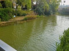 -南翔镇银翔湖公园