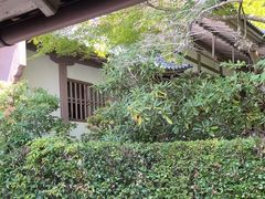 -三千院