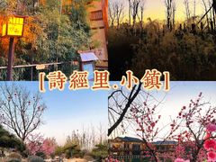 -诗经里