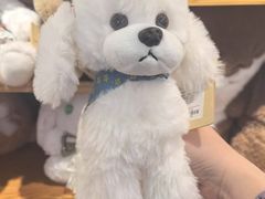-酷乐潮玩(凯德MALL西直门店)