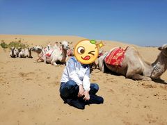 -银肯塔拉沙漠生态旅游景区
