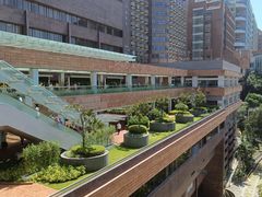 -香港大学