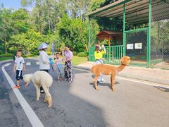 -南宁荔园维景国际酒店·荔园中餐厅