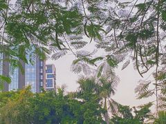 -金砂公园