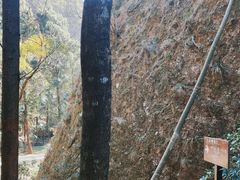 -雁荡山三折瀑景区