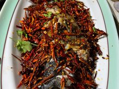 -巧克力渔家.小船海鲜胶东菜(三浴场店)